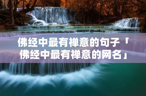 佛经中最有禅意的句子「佛经中最有禅意的网名」