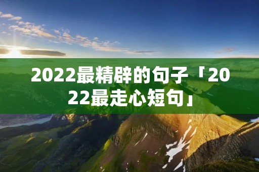 2022最精辟的句子「2022最走心短句」