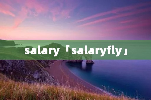 salary「salaryfly」 salary「salaryfly」