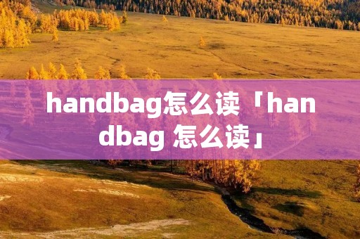 handbag怎么读「handbag 怎么读」