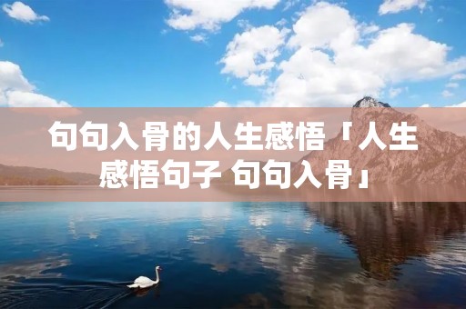 句句入骨的人生感悟「人生感悟句子 句句入骨」