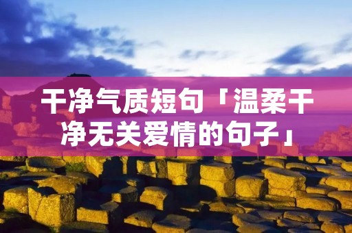 干净气质短句「温柔干净无关爱情的句子」
