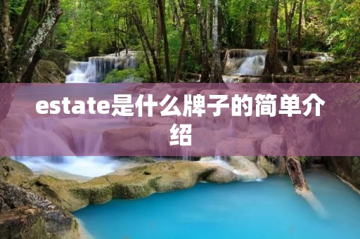 estate是什么牌子的简单介绍
