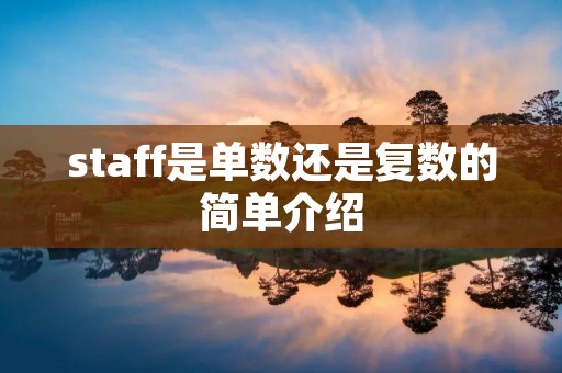 staff是单数还是复数的简单介绍