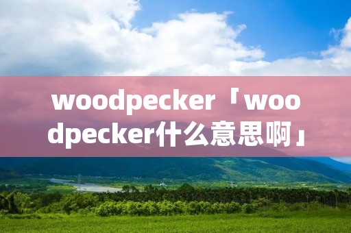 woodpecker「woodpecker什么意思啊」