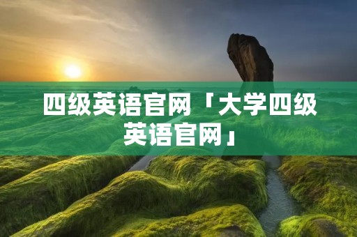 四级英语官网「大学四级英语官网」