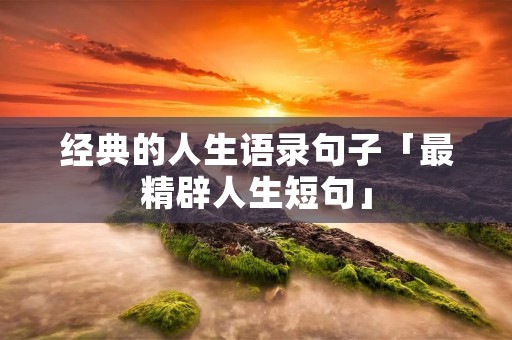 经典的人生语录句子「最精辟人生短句」