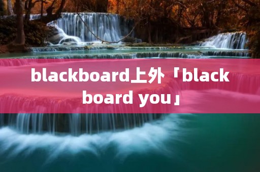 blackboard上外「blackboard you」