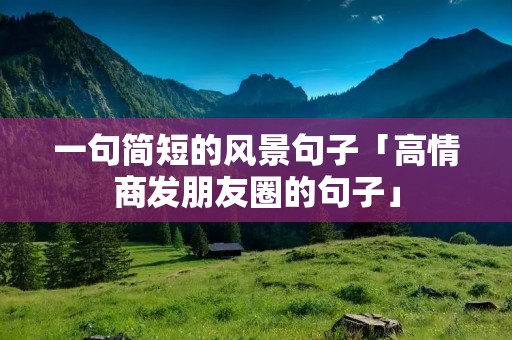 一句简短的风景句子「高情商发朋友圈的句子」