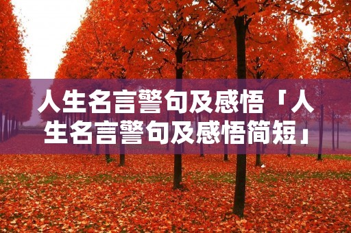 人生名言警句及感悟「人生名言警句及感悟简短」