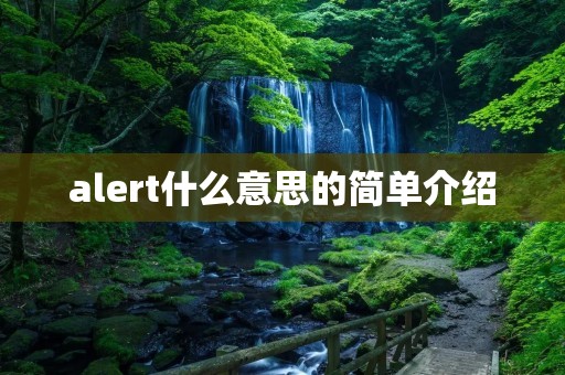 alert什么意思的简单介绍 alert什么意思的简单介绍