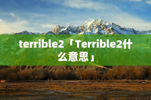 terrible2「Terrible2什么意思」
