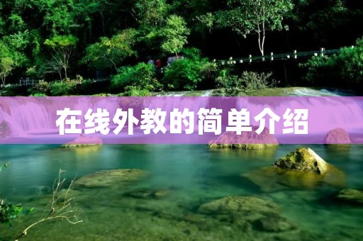 在线外教的简单介绍