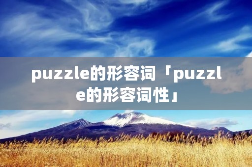 puzzle的形容词「puzzle的形容词性」