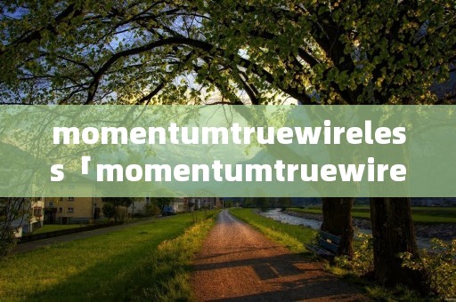 momentumtruewireless「momentumtruewireless2音质」