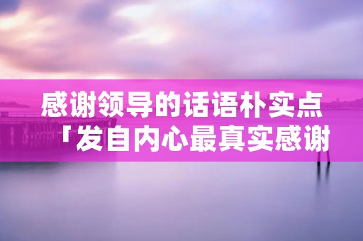 感谢领导的话语朴实点「发自内心最真实感谢话」