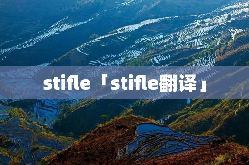 stifle「stifle翻译」