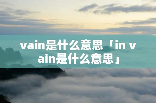 vain是什么意思「in vain是什么意思」