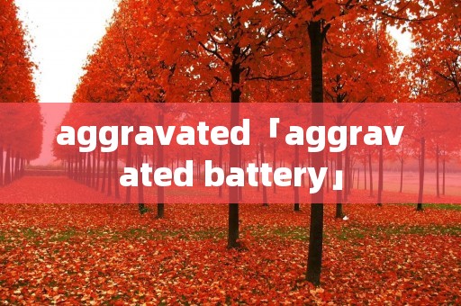 aggravated「aggravated battery」 aggravated「aggravated battery」