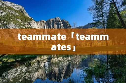 teammate「teammates」