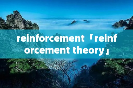 reinforcement「reinforcement theory」