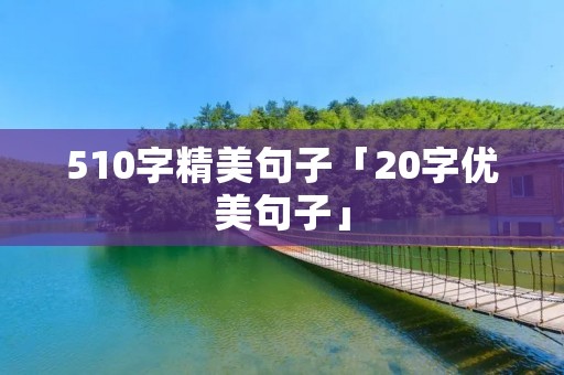 510字精美句子「20字优美句子」