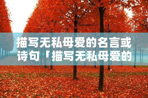 描写无私母爱的名言或诗句「描写无私母爱的名言或诗句怎么写」