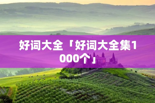 好词大全「好词大全集1000个」