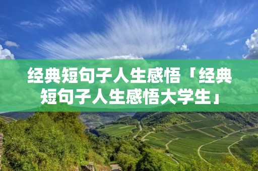经典短句子人生感悟「经典短句子人生感悟大学生」