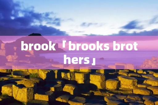 brook「brooks brothers」