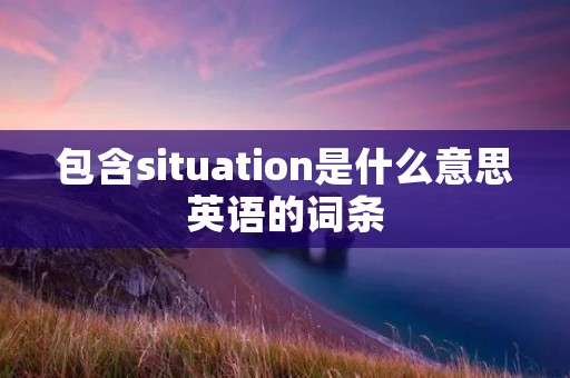 包含situation是什么意思英语的词条