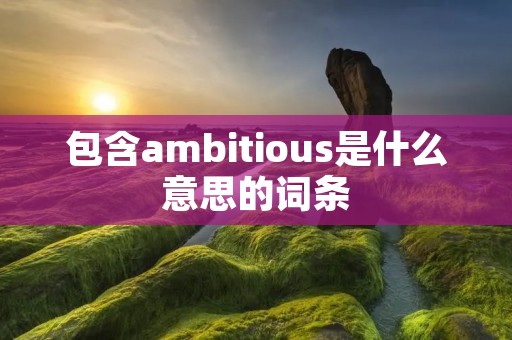 包含ambitious是什么意思的词条