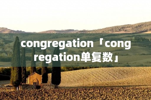 congregation「congregation单复数」 congregation「congregation单复数」