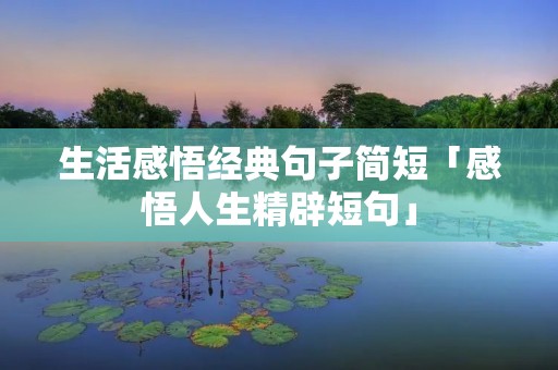 生活感悟经典句子简短「感悟人生精辟短句」