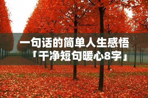 一句话的简单人生感悟「干净短句暖心8字」