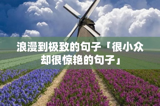浪漫到极致的句子「很小众却很惊艳的句子」