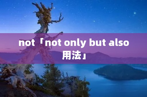 not「not only but also用法」