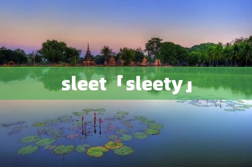 sleet「sleety」 sleet「sleety」