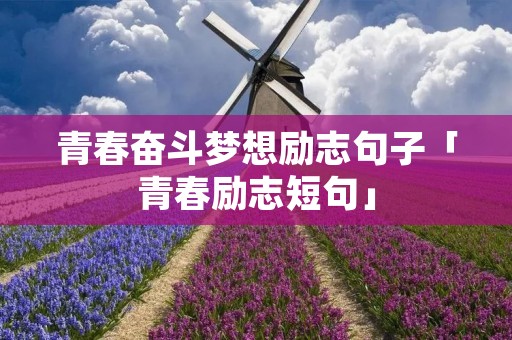 青春奋斗梦想励志句子「青春励志短句」