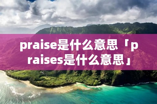 praise是什么意思「praises是什么意思」