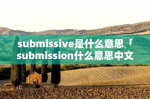 submissive是什么意思「submission什么意思中文」