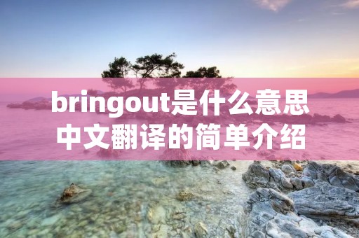 bringout是什么意思中文翻译的简单介绍