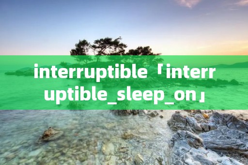 interruptible「interruptible_sleep_on」