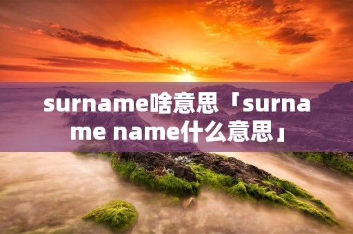 surname啥意思「surname name什么意思」