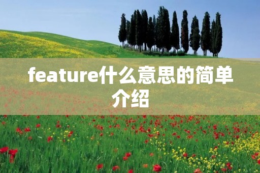 feature什么意思的简单介绍 feature什么意思的简单介绍