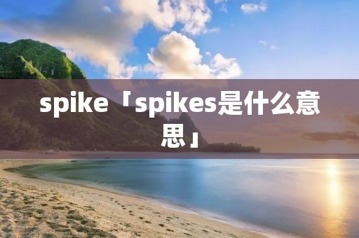 spike「spikes是什么意思」