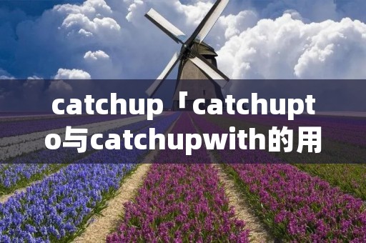 catchup「catchupto与catchupwith的用法有什么区别」