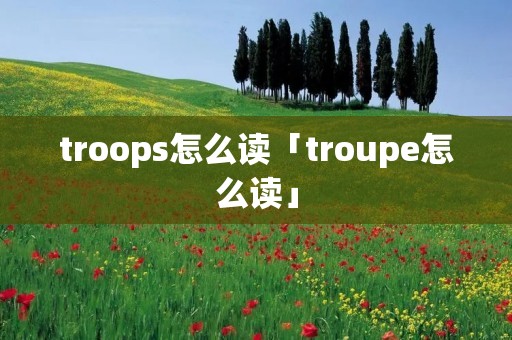 troops怎么读「troupe怎么读」