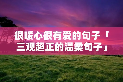 很暖心很有爱的句子「三观超正的温柔句子」