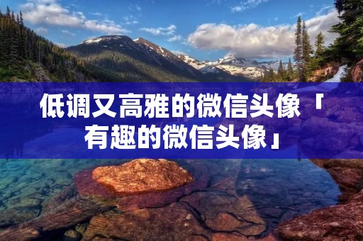 低调又高雅的微信头像「有趣的微信头像」